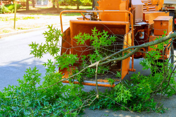 Best Mulching Services  in USA